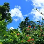 Paradis Creole
