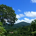 Paradis Creole