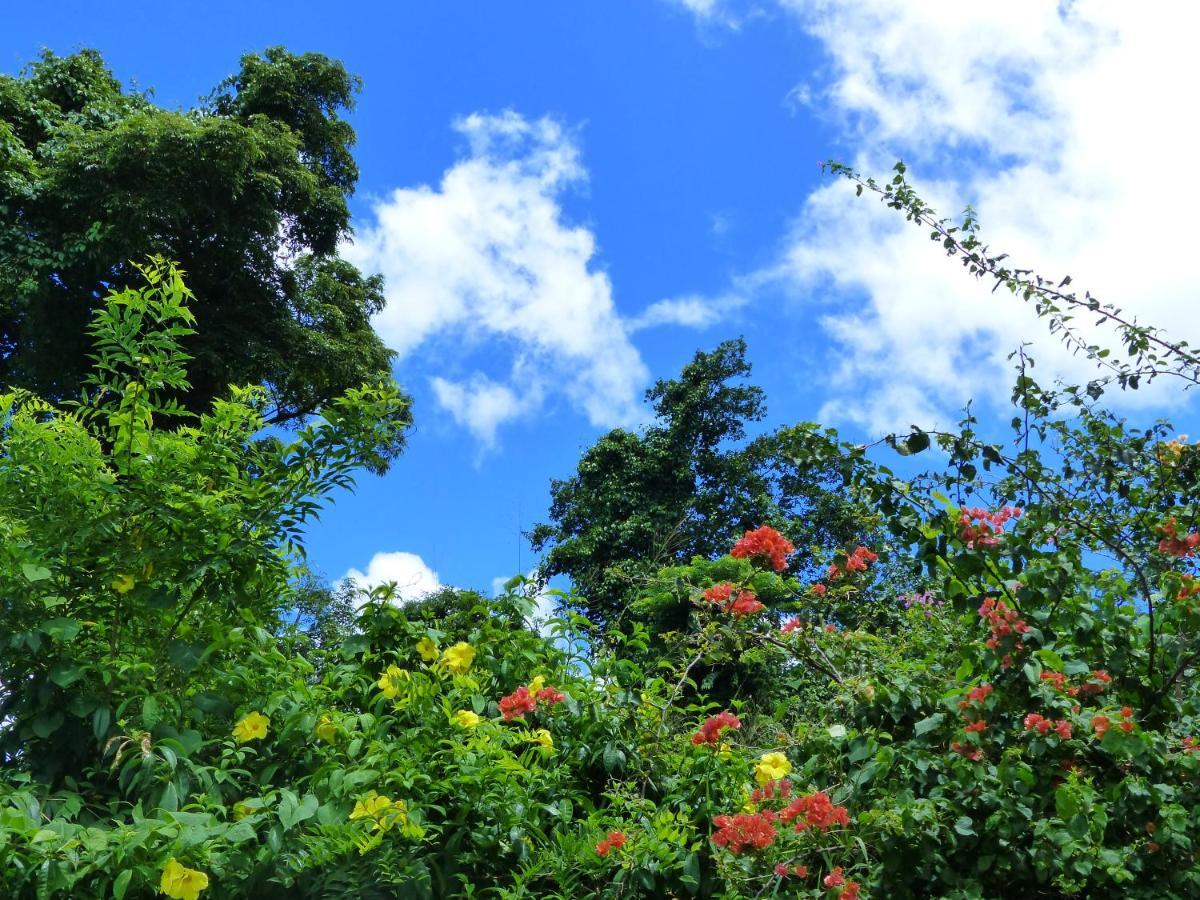 Paradis Creole Appartement