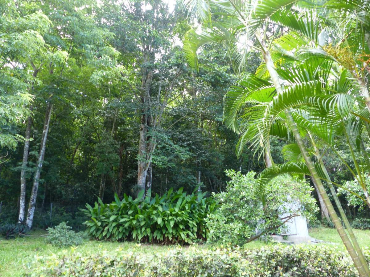 Paradis Creole Appartement Bouillante