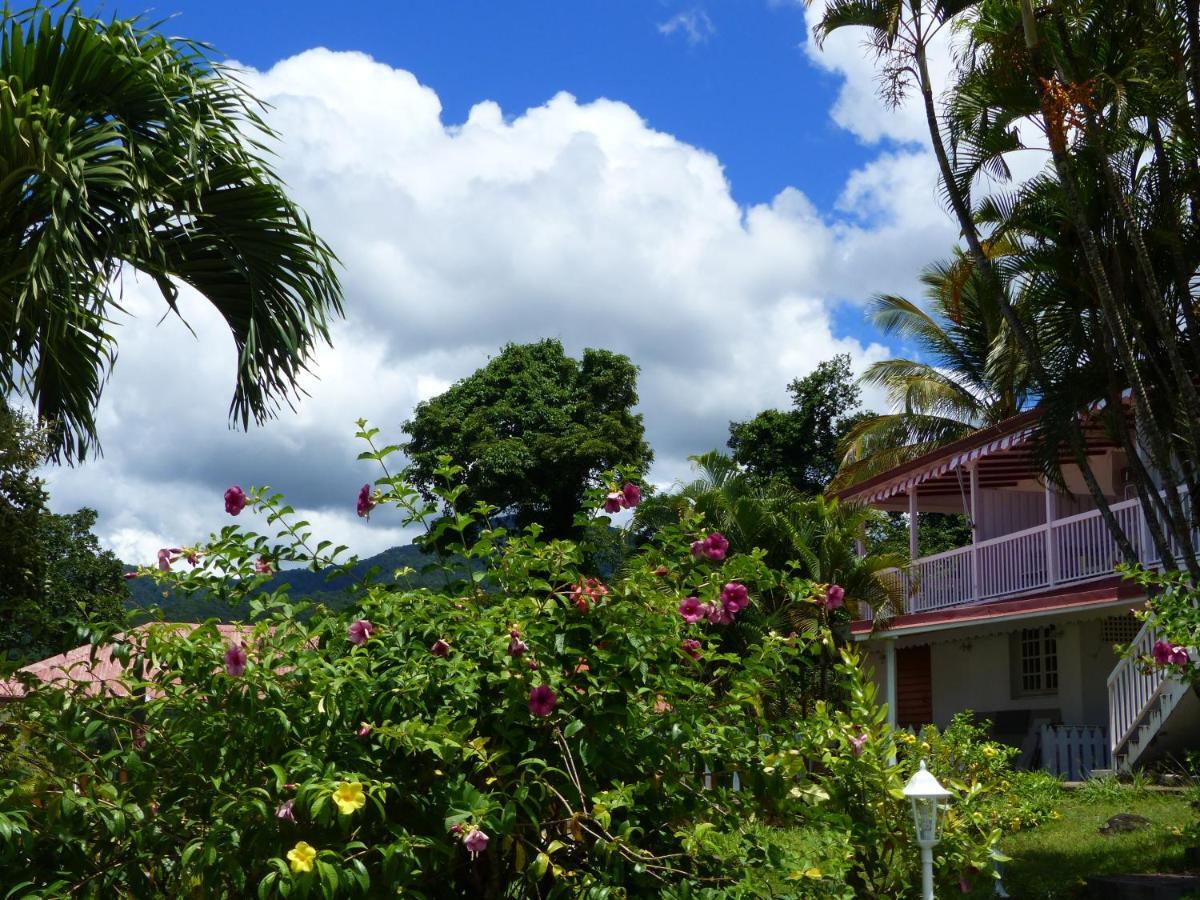 Appartement Paradis Creole Bouillante